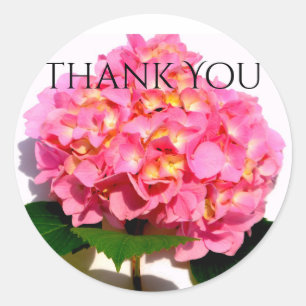 Rosa Hydrangea Rosa Blume Runder Aufkleber