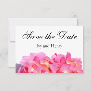Rosa Hydrangea Rosa Blume Save The Date