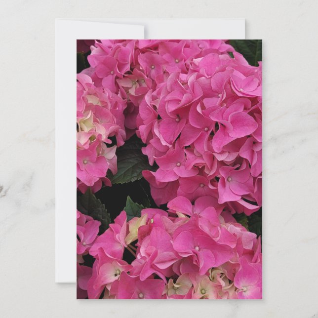 Rosa Hydrangea Schönheit Einladung (Vorderseite)