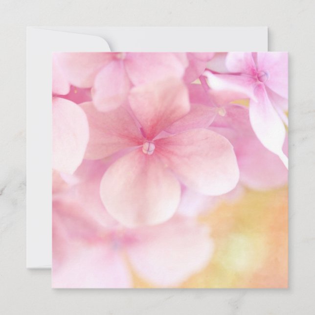Rosa Hydrangea-Traum-… quadratische Einladung - (Vorderseite)