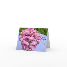 Rosa Hydrangeas an einem Tisch
