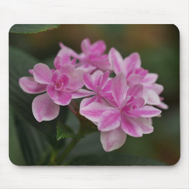 Rosa Hydrangeen-Blumen-Mauspad Mousepad (Vorne)