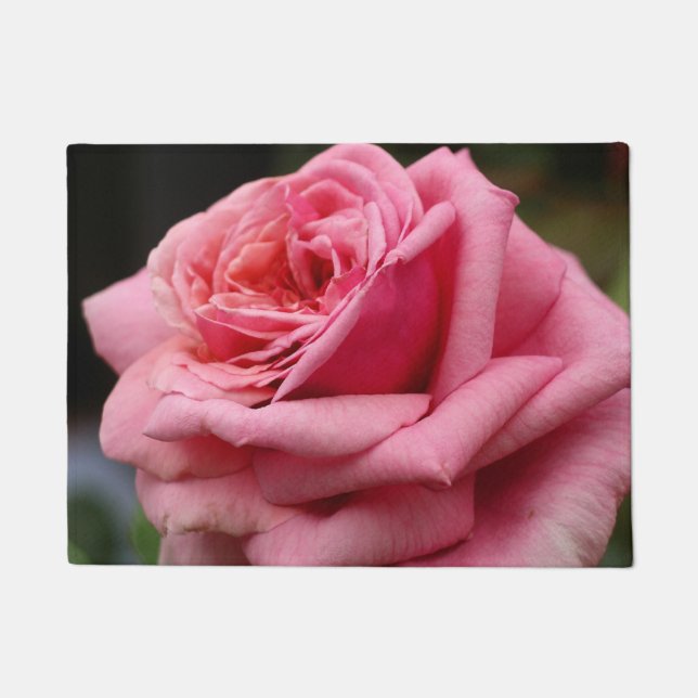 Rosa I Hübsche Blumenfotografie Fußmatte (Vorderseite)