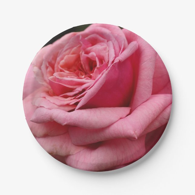 Rosa I Hübsche Blumenfotografie Pappteller (Vorderseite)