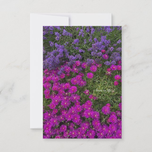 Rosa Ice Pflanze und Lavendel Mitteilungskarte (Vorderseite)
