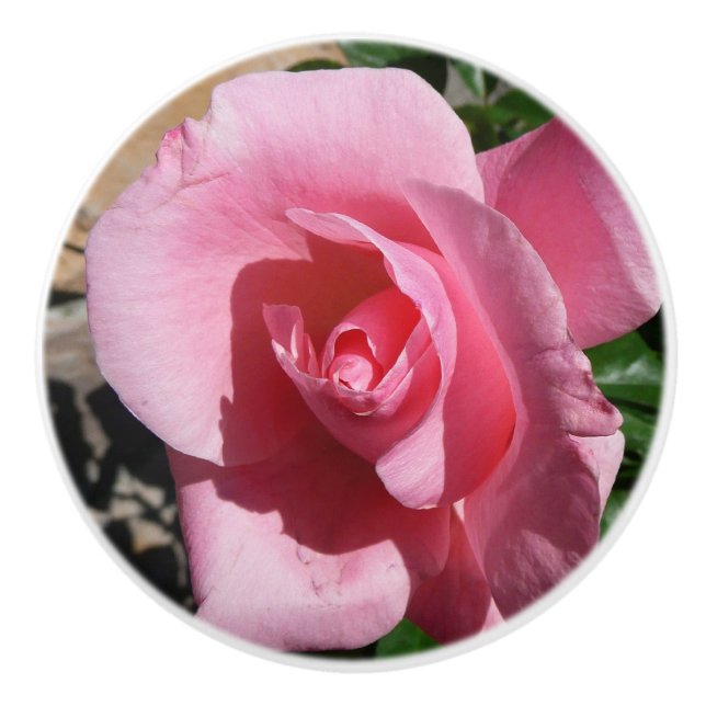 Rosa III Garten Blumen Keramikknauf (Vorderseite)