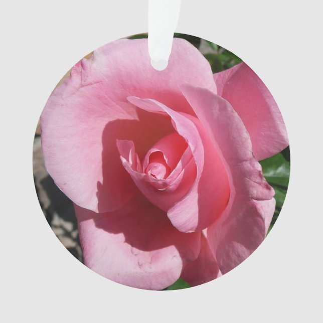 Rosa III Garten Blumen Ornament (Vorderseite)