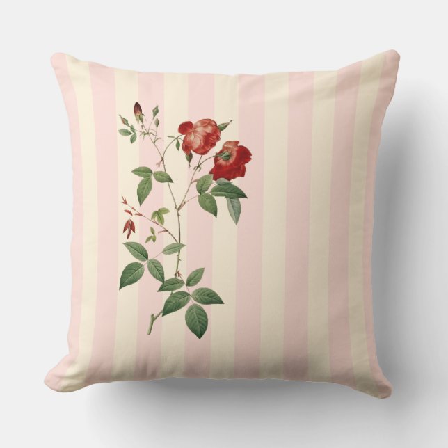 Rosa indica bande rose et beige Jeter oreiller (Recto)