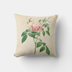 Rosa indica dugrans botanische Abbildung Kissen