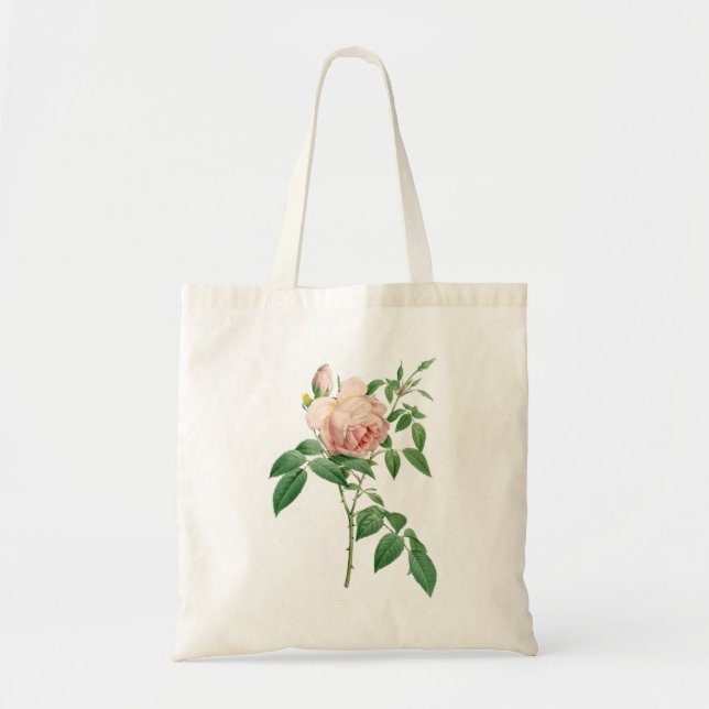 Rosa indica dugrans botanische Abbildung Tragetasche (Vorne)