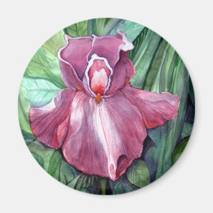 Rosa Iris Magnet
