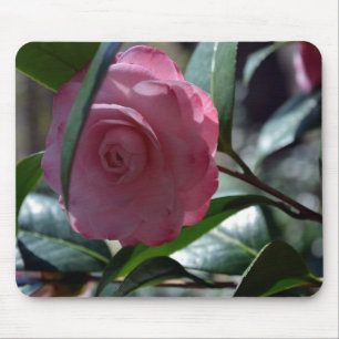 Rosa japanische Kamelie Mousepad