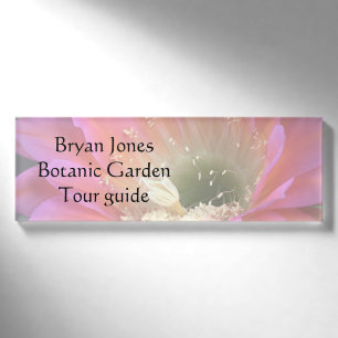 Rosa Kakteen-Blume in der Wüste Namenschild