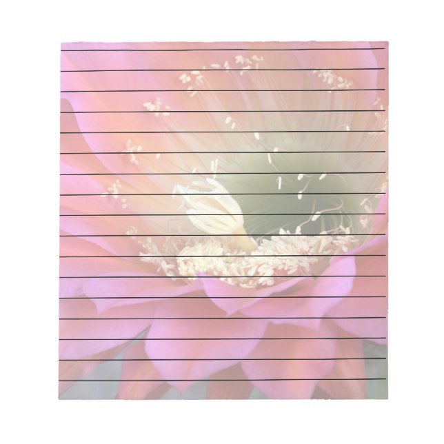 Rosa Kakteen-Blume in der Wüste Notizblock (Vorderseite)