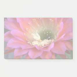 Rosa Kakteen-Blume in der Wüste Post-it Klebezettel
