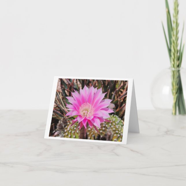 Rosa Kaktus Blume geklappt Leere jeder Okcasionska Dankeskarte (Vorderseite)