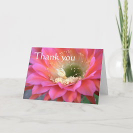 Rosa Kaktus Blume in der Wüste, danke. Dankeskarte