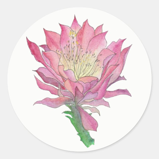 Rosa Kaktus-Blumen-kleiner runder Aufkleber (Vorderseite)