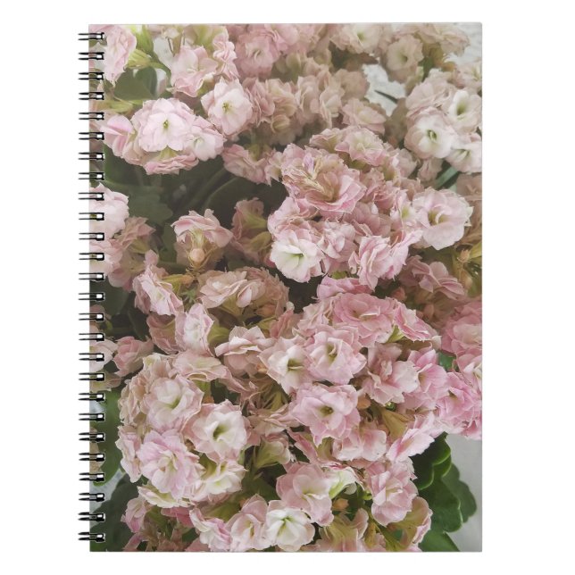 Rosa Kalanchoe-Pflanze Notizblock (Vorderseite)