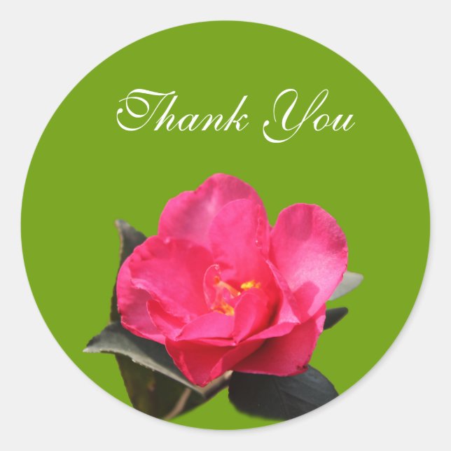 Rosa Kamelie Blume danke Ihnen Aufkleber (Vorderseite)