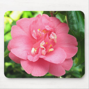 Rosa Kamelie Mousepad
