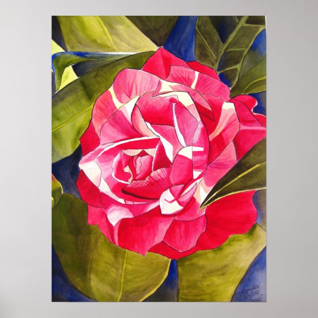 Rosa Kamelien Aquarell Blume Malerei Poster (Vorne)
