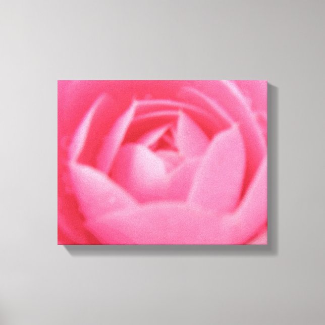 Rosa Kamelien Blume Canvas Print Leinwanddruck (Vorderseite)