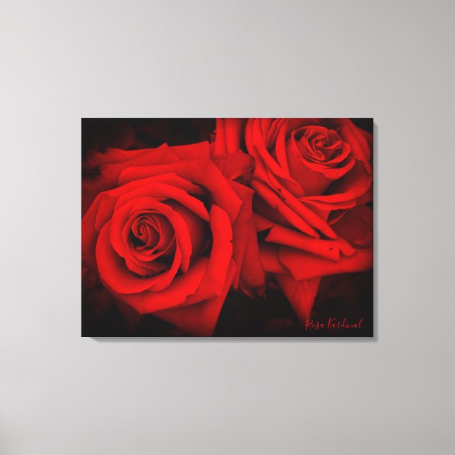 Rosa Kardinal：Canvas Print Leinwanddruck (Vorderseite)