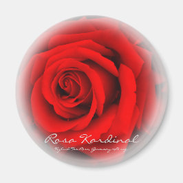 Rosa Kardinal Magnet