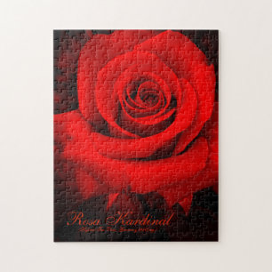 Rosa Kardinal [Puzzle (252 Stück)]