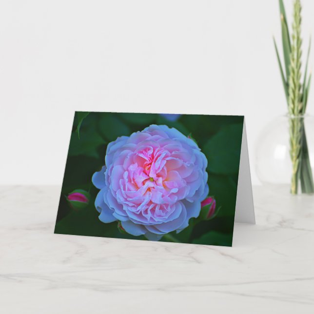 Rosa Karte (Vorderseite)