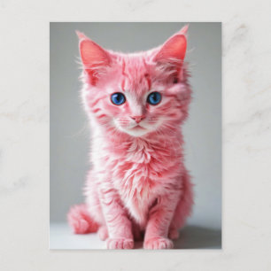 Rosa Katze Postkarte