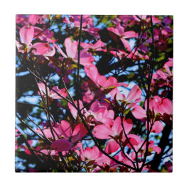 Rosa Keramik-Kachel-Foto Fliese