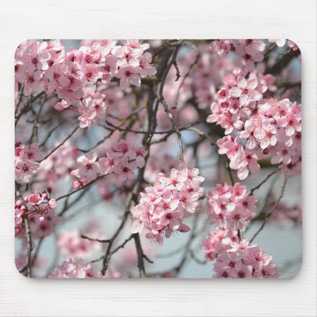 Rosa Kirschblossom Blume Baum Mousepad (Vorne)