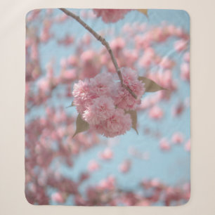 ROSA KIRSCHBLÜTE IN NAHAUFNAHME-FOTOGRAFIE SHERPADECKE