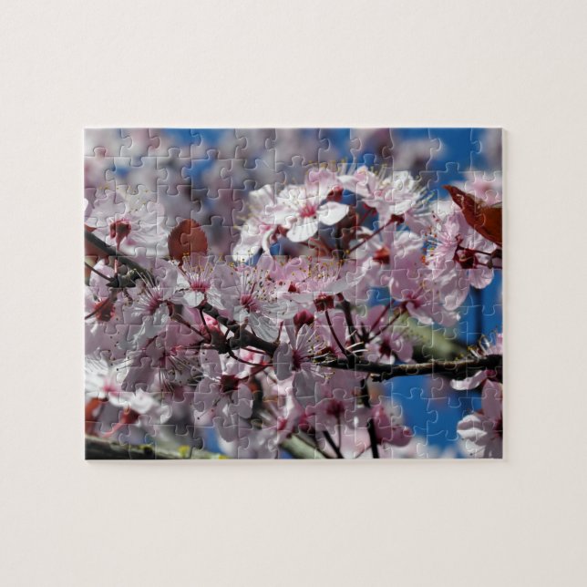 Rosa Kirschblüten (Horizontal)