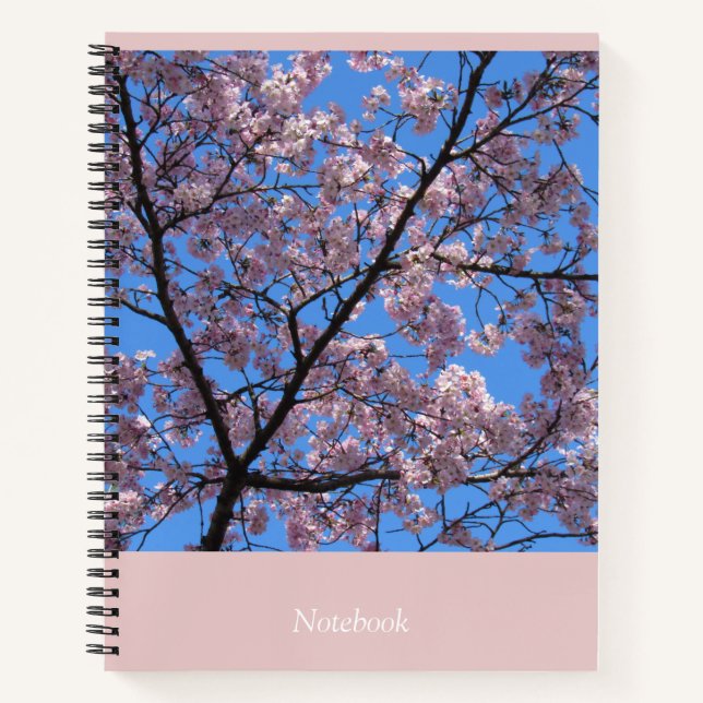 Rosa Kirschblüten 8.5"x11" Notebook Notizbuch (Vorderseite)