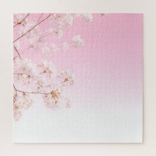 Rosa Kirschblüten-Frühlingsserenität