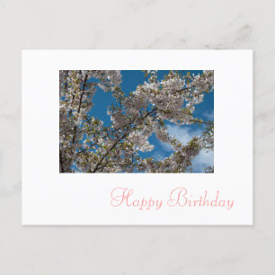 rosa Kirschblüten glücklicher Geburtstag Postkarte