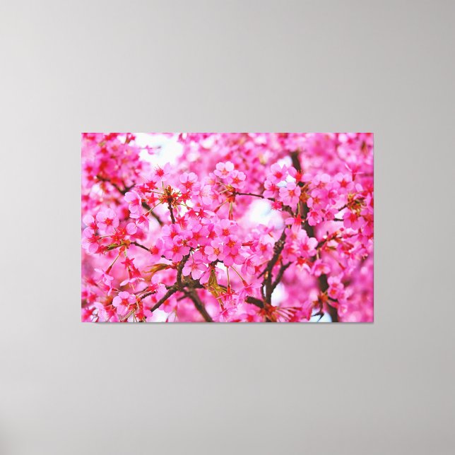 Rosa Kirschblüten Leinwanddruck (Vorderseite)