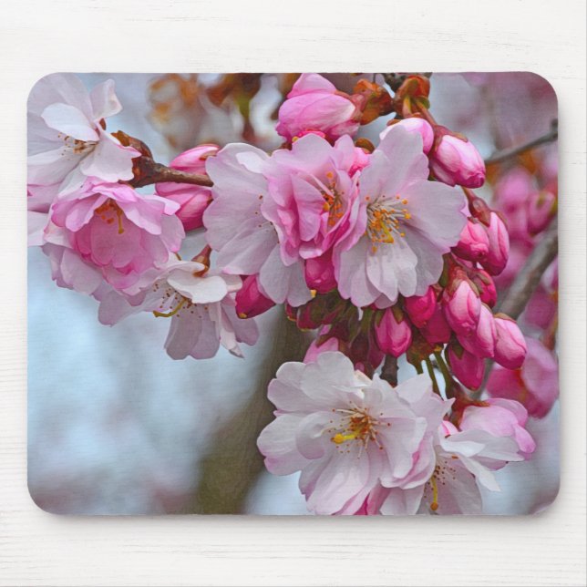 Rosa Kirschblüten Mousepad (Vorne)