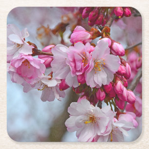 Rosa Kirschblüten Rechteckiger Pappuntersetzer