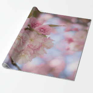 ROSA KIRSCHBÜTEN IN NAHAUFNAHMEFOTOGRAFIE GESCHENKPAPIER