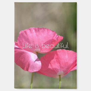 Rosa Klatschmohn Magnet