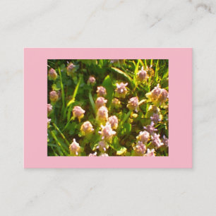 Rosa Klee Visitenkarte