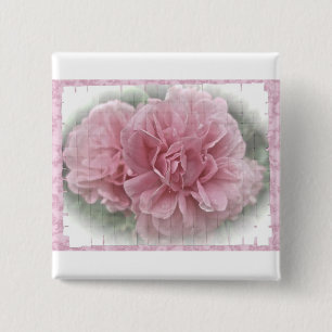 Rosa Kletterblüten in der Rose Button