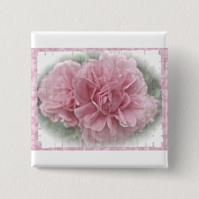 Rosa Kletterblüten in der Rose Button (Vorderseite)