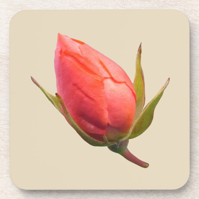 Rosa Knospe Getränkeuntersetzer (Vorderseite)