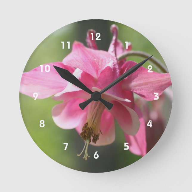 Rosa Kolumbin-Blume Runde Wanduhr (Vorderseite)