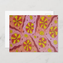 Rosa Kosmische Kanonen